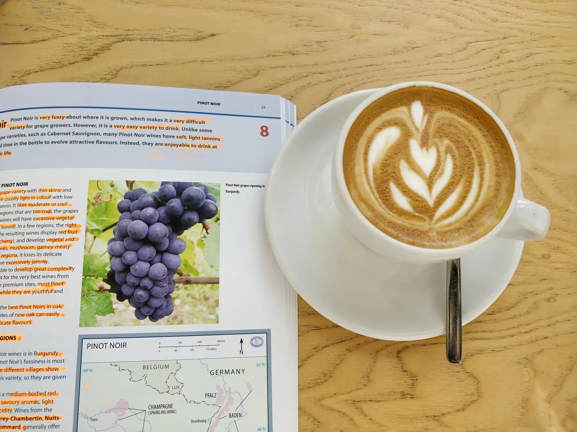 WSET Level 2 study book with higlighted text and a cup of coffee